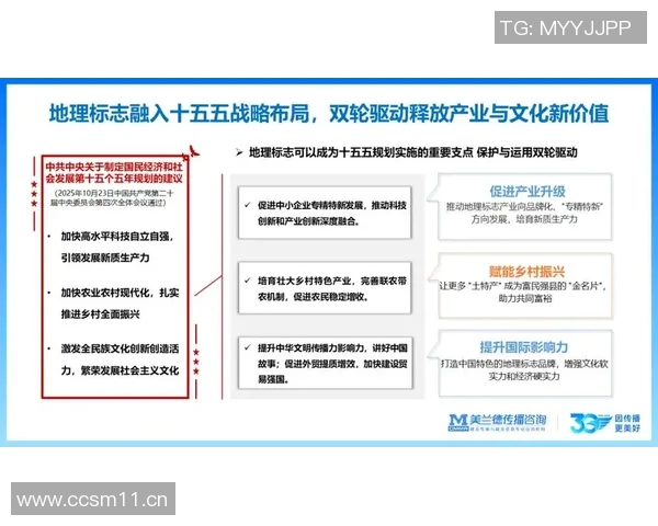 以策划为核心的创新路径：构建全新战略布局推动品牌快速崛起