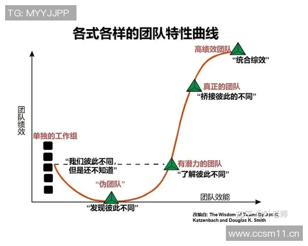 体育PA如何推动运动员成绩提升与团队协作实现双赢发展